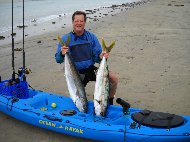 Two Yellowtail Winter 2009